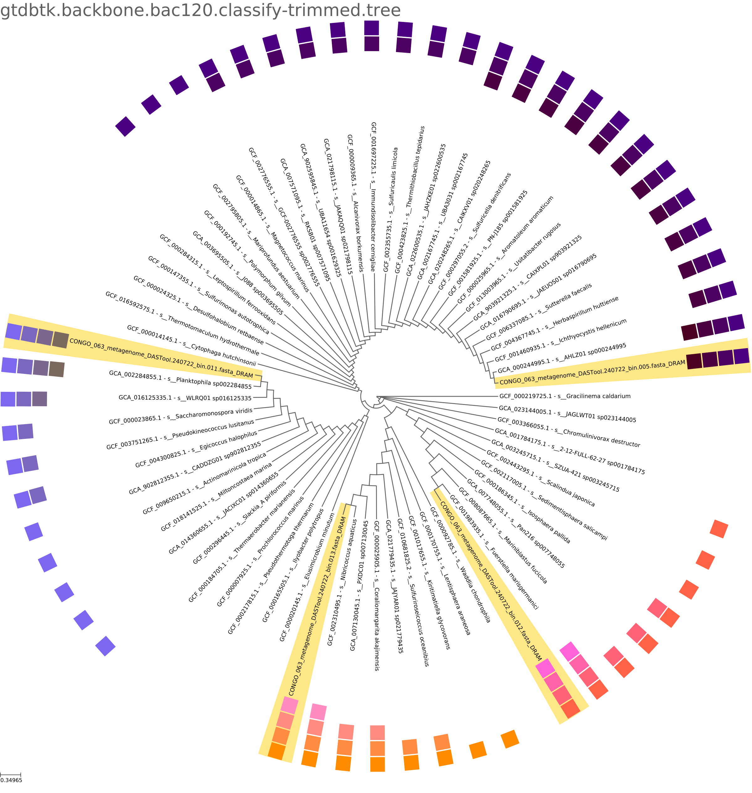 GTDB-Tk Trees